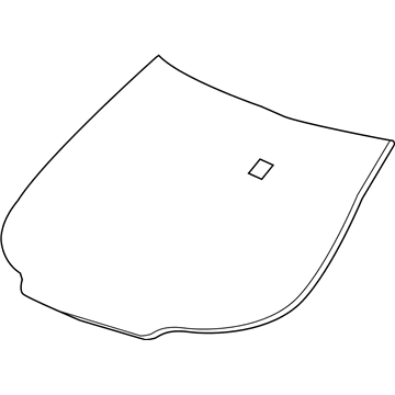 Chevy 25827815 Glass