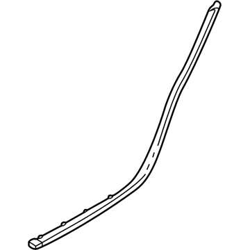 Cadillac CTS Weather Strip - 25762383