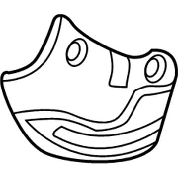 GM 20944531 Backing Plate, Passenger Side 20944531 GM Backing Plate, Passenger Side Illustration 1 of 1