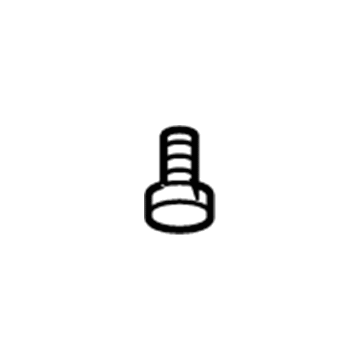 Saturn 19179562 Motor Bolt