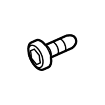 Chevy 11570136 Wheel Opening Molding Bolt
