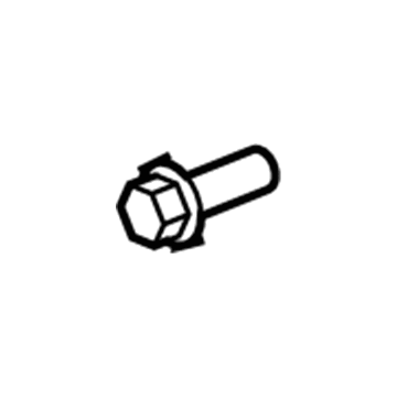 Chevy 9423101 License Bracket Screw