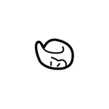 GM 22655181 Coat Hook 22655181 GM Coat Hook Illustration 1 of 1