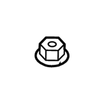 Buick 11517996 Top Nut