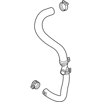 GM 12697175 Inlet Hose 12697175 GM Inlet Hose Illustration 1 of 1
