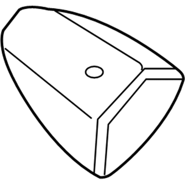 Chevy City Express Antenna Mast - 19316463