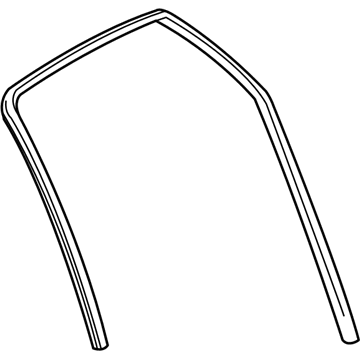 Saturn L200 Weather Strip - 24419435