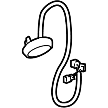 GM 15874999 Courtesy Lamp, Driver Side 15874999 GM Courtesy Lamp, Driver Side Illustration 1 of 1