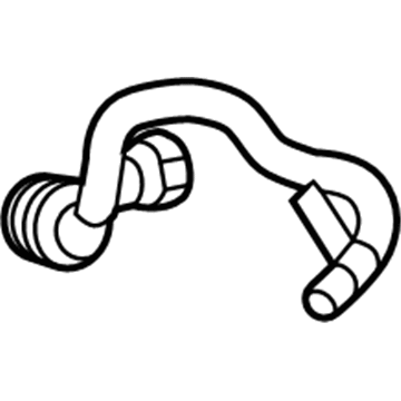 GM 84070046 Vapor Hose 84070046 GM Vapor Hose Illustration 1 of 1