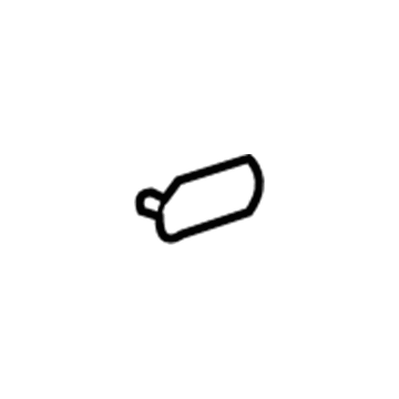 GM 15912852 Lock Pillar Trim Plug 15912852 GM Lock Pillar Trim Plug Illustration 1 of 1