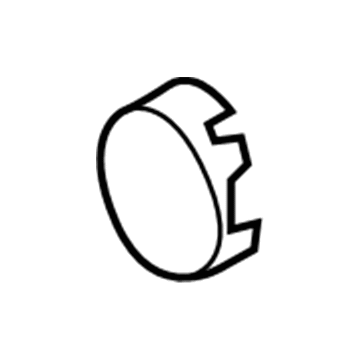 GM 25832384 Hole Cover 25832384 GM Hole Cover Illustration 1 of 1