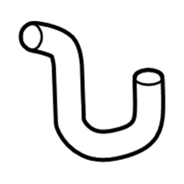 15286588 GM Lower Hose Illustration 1 of 1