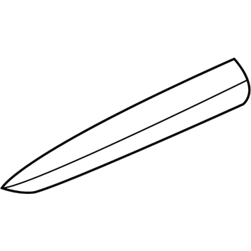 23409493 GM Body Side Molding, Front Driver Side Illustration 1 of 1