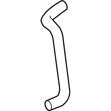 15889011 GM Lower Hose Illustration 1 of 1