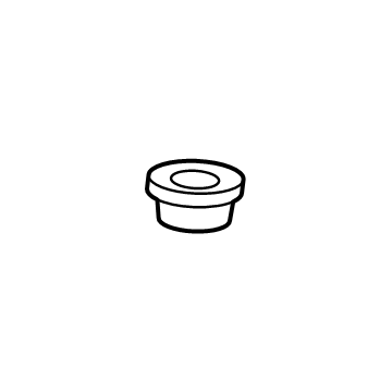 Chevy 87869824 Reservoir Grommet