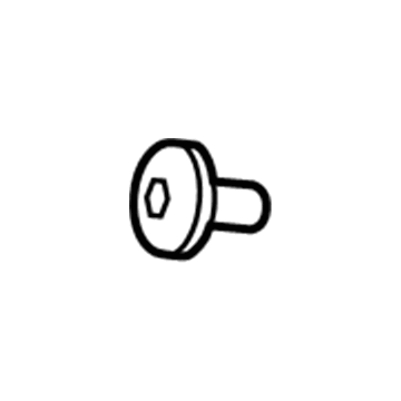 Chevy 11570498 Center Duct Bolt