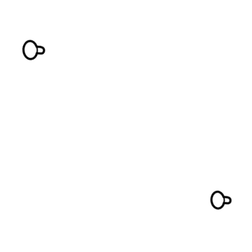 GM 13285669 Sunroof Glass Bolt 13285669 GM Sunroof Glass Bolt Illustration 1 of 1