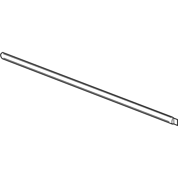 Chevy 22775440 Body Side Molding