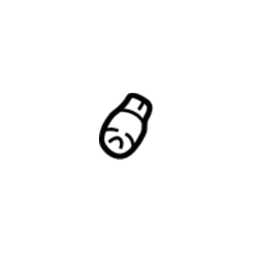 Chevy 9442878 Bulb & Socket