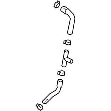 55487351 GM Inlet Hose Illustration 1 of 1