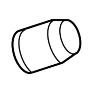 GM 15122619 TPMS Sensor Nut 15122619 GM TPMS Sensor Nut Illustration 1 of 1