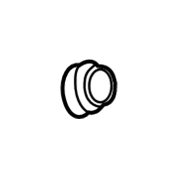 Buick 25696420 Filler Pipe Grommet
