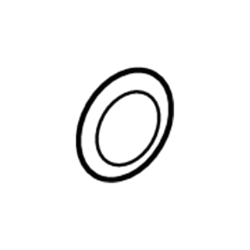 GM 15879116 Accumulator Seal 15879116 GM Accumulator Seal Illustration 1 of 1