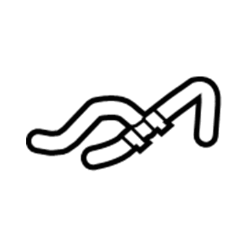 GM 20765678 Inlet Hose 20765678 GM Inlet Hose Illustration 1 of 1