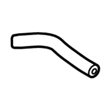12645463 GM Overflow Hose Illustration 1 of 1