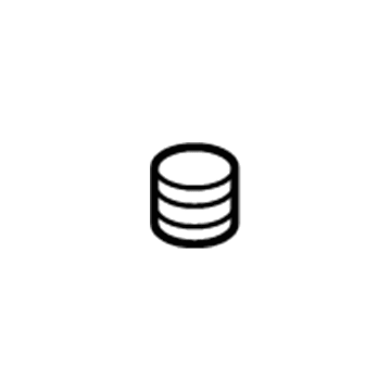 Pontiac 10306946 Tray Spring