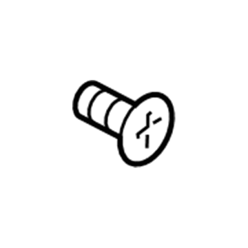 Chevy 11609341 Striker Screw