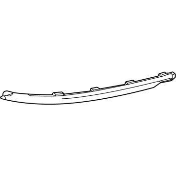 Buick 85123037 Outer Molding