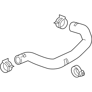 GM 42455617 Hose Assembly 42455617 GM Hose Assembly Illustration 1 of 1
