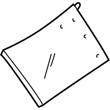 Chevy 91174907 Door