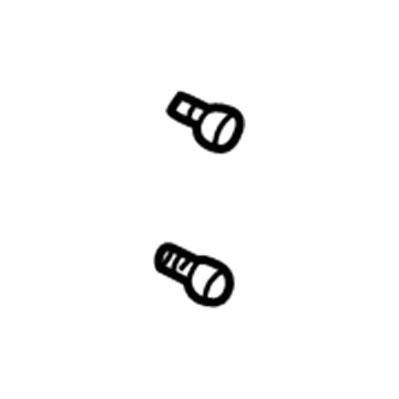 Chevy 91177725 Window Regulator Bolt
