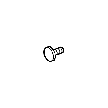 Chevy 11547421 License Lamp Bolt