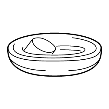 GMC 13370418 Outer Seal