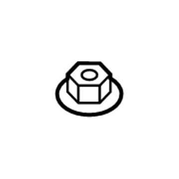 GM 19316156 Finish Molding Nut 19316156 GM Finish Molding Nut Illustration 1 of 1