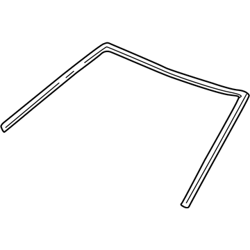 Pontiac 88969787 Molding