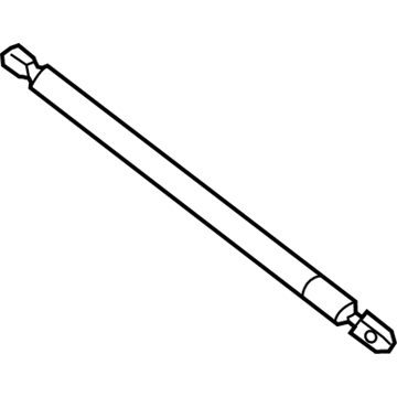 Buick Liftgate Lift Support - 39169063