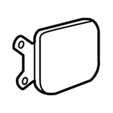 Pontiac Fuel Door - 19204900