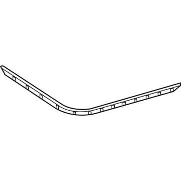 Chevy 12365696 Strip