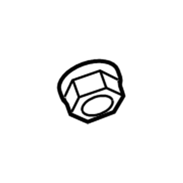 Chevy 11546437 Door Check Nut