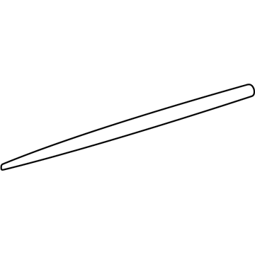 Pontiac Vibe Door Moldings - 88974682
