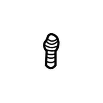 Chevy 15617722 Pressure Valve Bolt