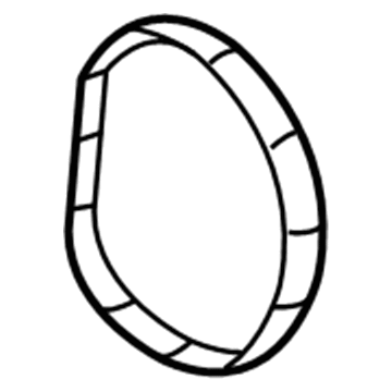 Chevy Cruze Water Pump Gasket - 55579983