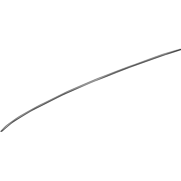 GM 25993755 Sealing Strip 25993755 GM Sealing Strip Illustration 1 of 1