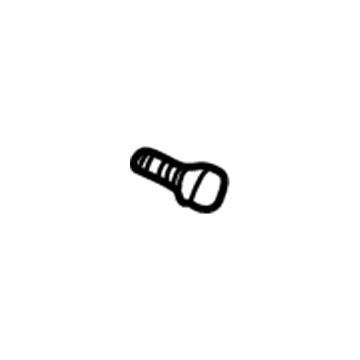 Chevy 5966249 Sealed Beam Screw