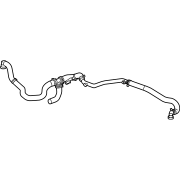 Chevy 84567000 Hoses