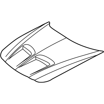 Pontiac Hood - 12498263